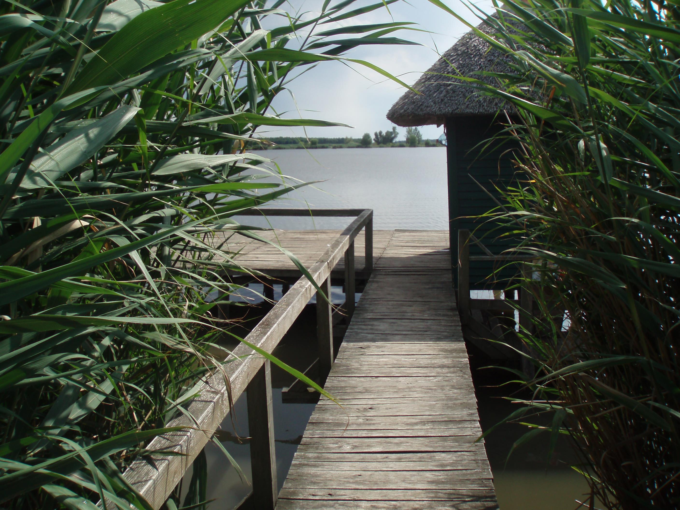 ohat3 - P1010030.JPG